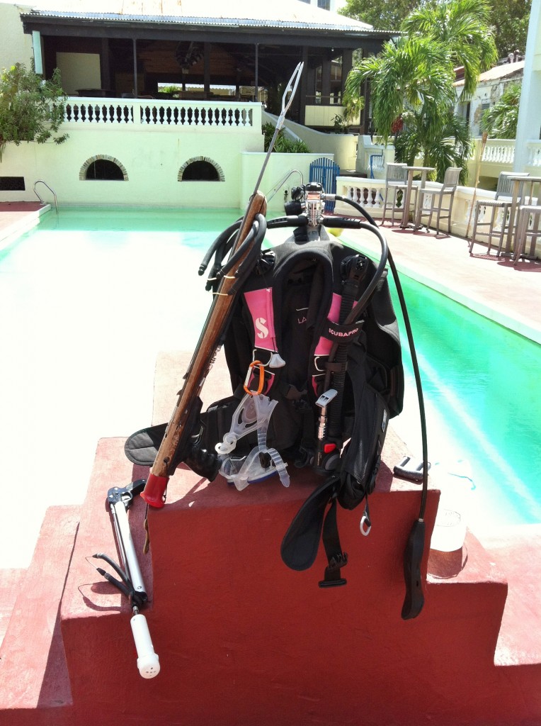 lionfish-class-gear Scuba gear for lionfish hunting course