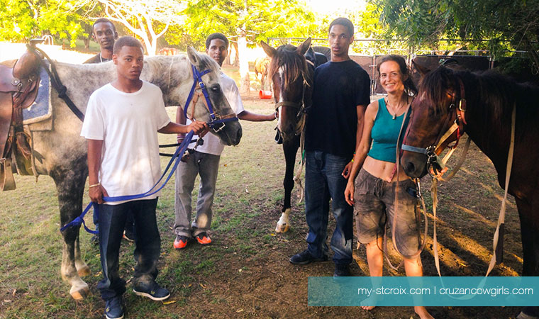 horse-school
