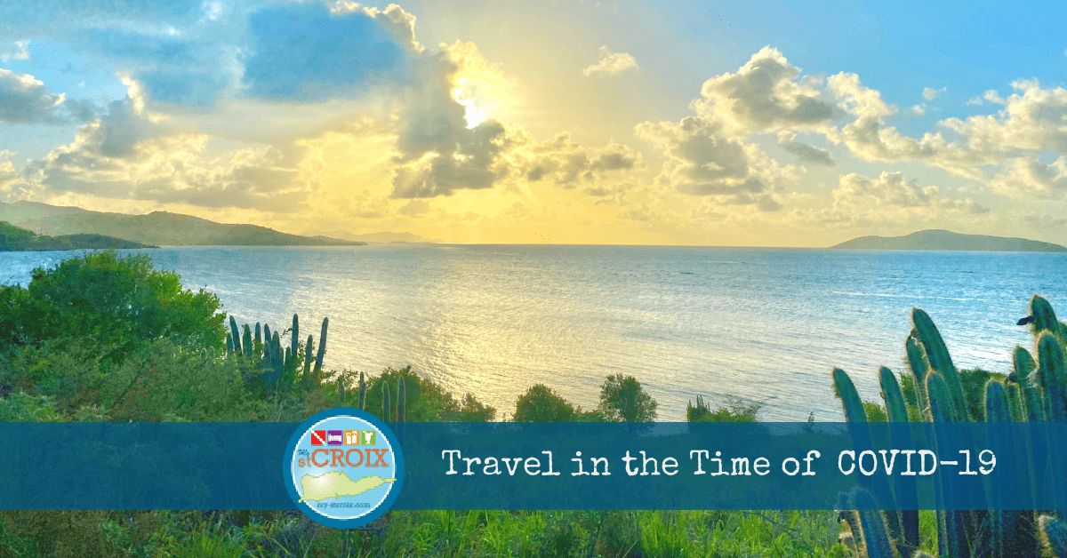 Travel in the Time of COVID-19 header